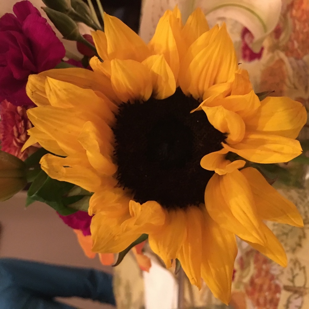 Meet your Posher, choralegirl